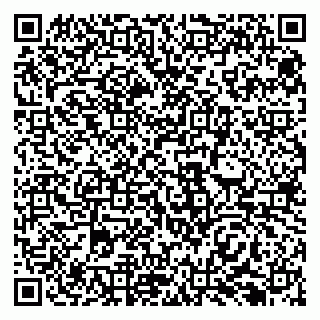 vCard 79138299378