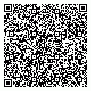vCard 79138299379