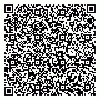 vCard 79138299381