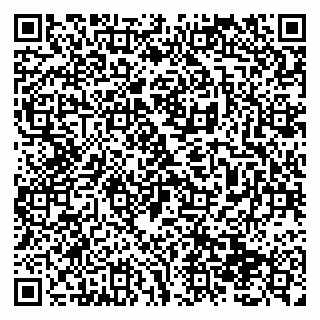 vCard 79138299382