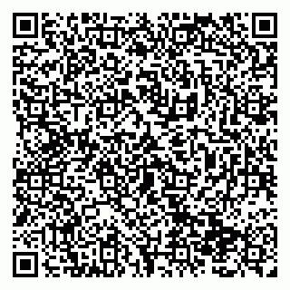 vCard 79138299386