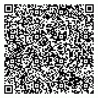 vCard 79138299387