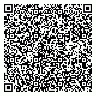 vCard 79138299388