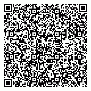 vCard 79138299389