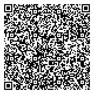 vCard 79138299390