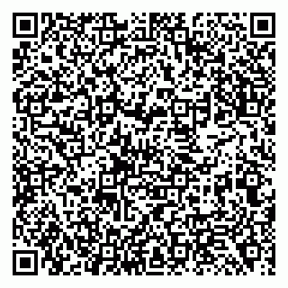 vCard 79138299391