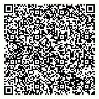 vCard 79138299392