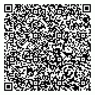 vCard 79138299393