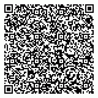 vCard 79138299394