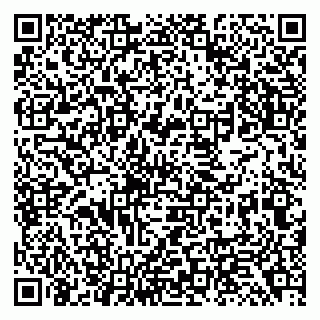 vCard 79138299396