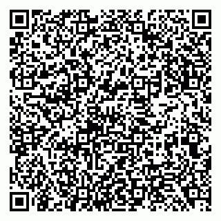 vCard 79138299397