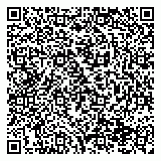 vCard 79138299398