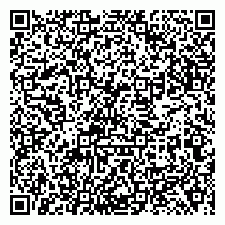 vCard 79138299403
