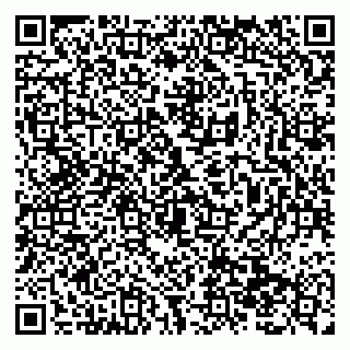 vCard 79138299405