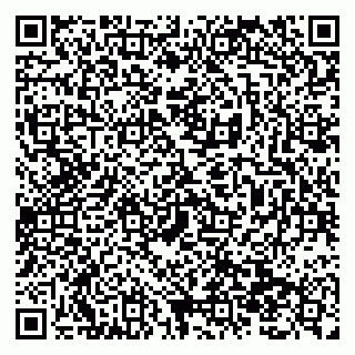 vCard 79138299406