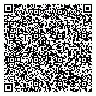 vCard 79138299407