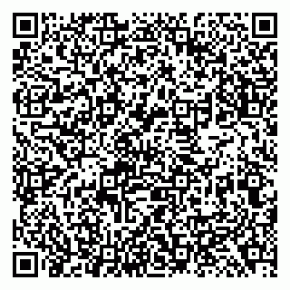 vCard 79138299408