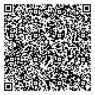 vCard 79138299441