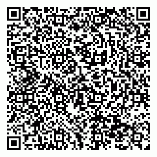 vCard 79138299446