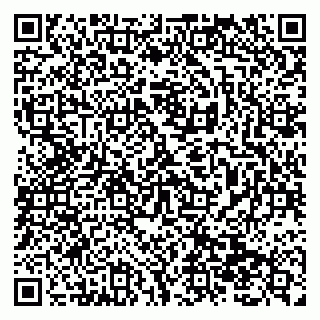 vCard 79138299449