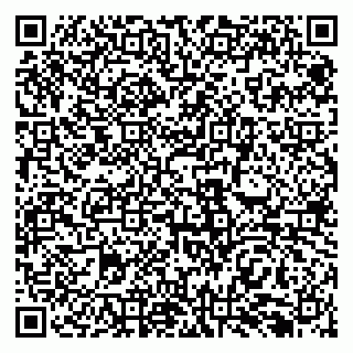 vCard 79138299451