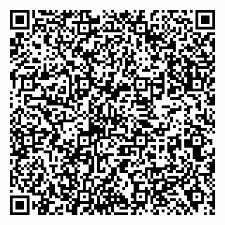 vCard 79138299453