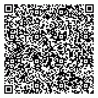 vCard 79138299454