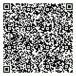 vCard 79138299455