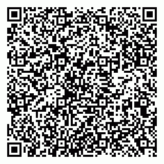 vCard 79138299457
