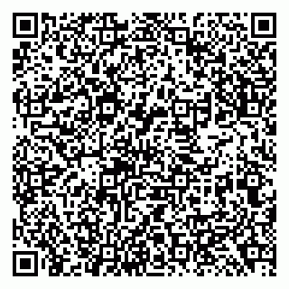 vCard 79138299463