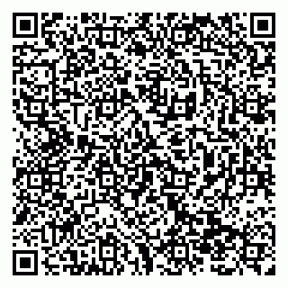 vCard 79138299473