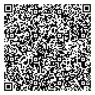 vCard 79138299477