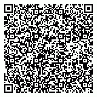 vCard 79138299481