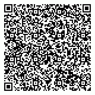 vCard 79138299484