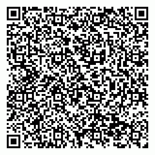 vCard 79138299486