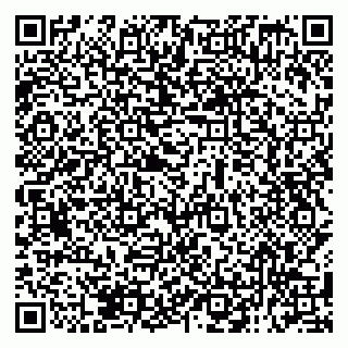 vCard 79138299487
