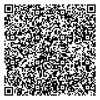 vCard 79138299489
