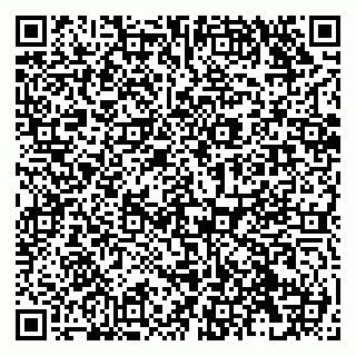 vCard 79138299498