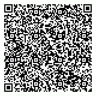 vCard 79138299502
