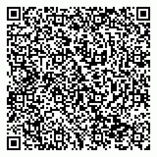 vCard 79138299509
