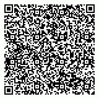 vCard 79138299511