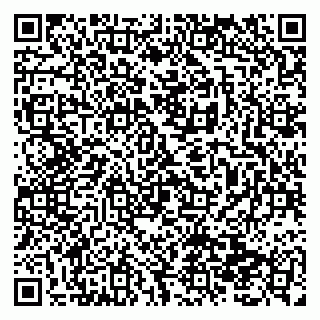 vCard 79138299517