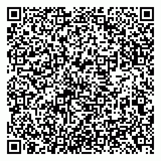 vCard 79138299518
