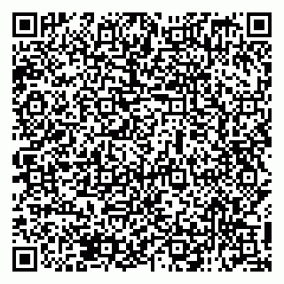 vCard 79138299519