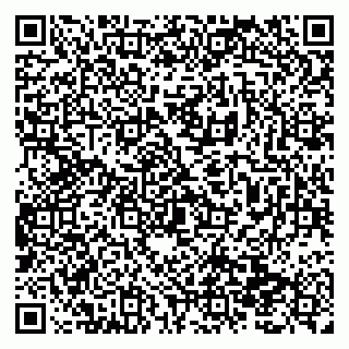 vCard 79138299520