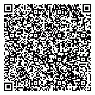 vCard 79138299523