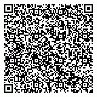 vCard 79138299524