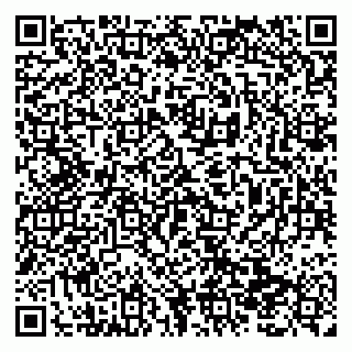 vCard 79138299527