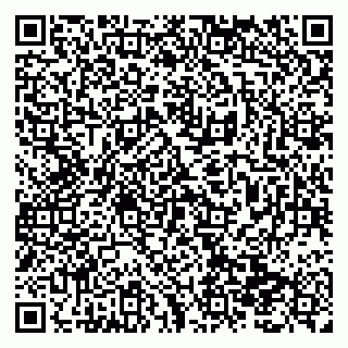 vCard 79138299528