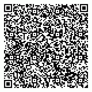 vCard 79138299532